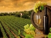 wine-tuscany1